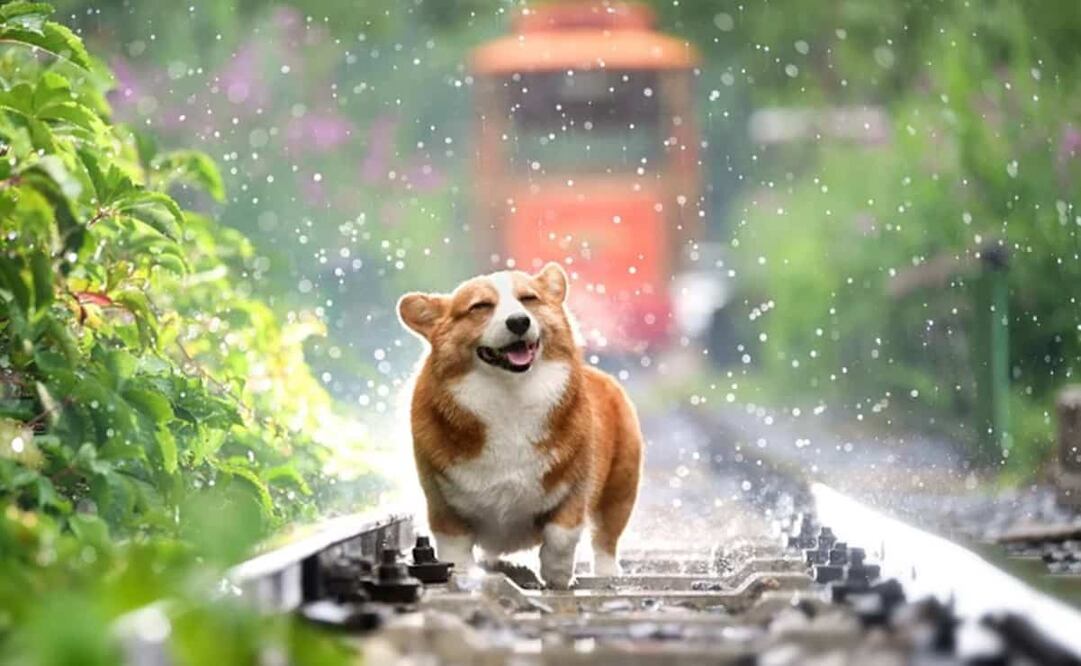 También habrá descargas eléctricas. Foto: Pixabay