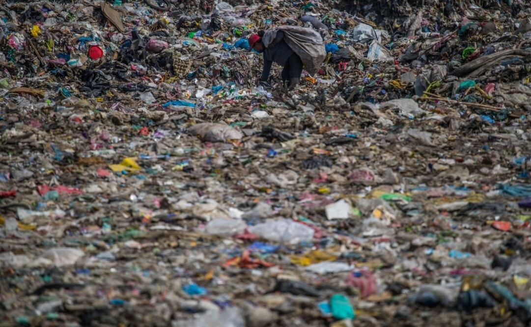 Recolectores de basura reportan muerte de compañeros de trabajo por Covid-19