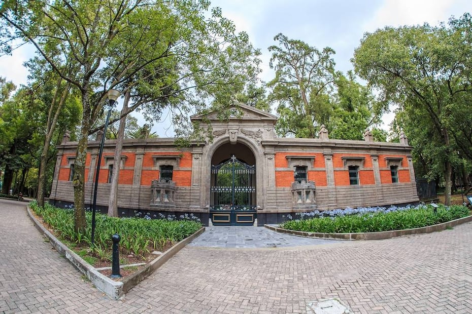 Foto: Bosque de Chapultepec