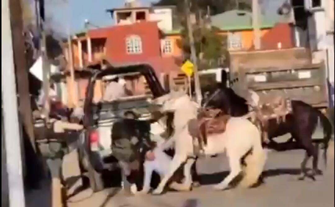 Foto: captura de pantalla