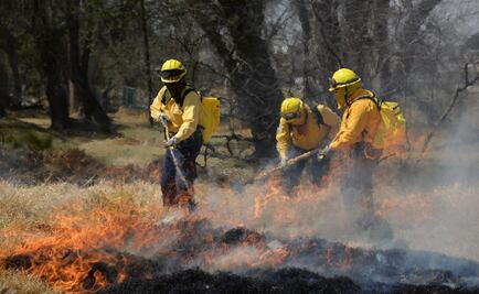 Resaltan apoyo de brigadistas mexicanos contra incendios en Chile