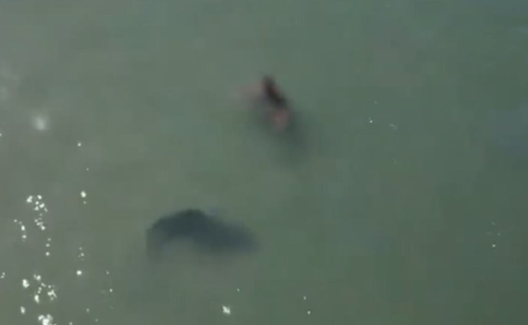 Foto: Tomada del video