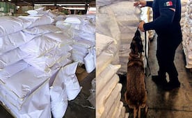 Aseguran 27 mil kilos de ácido tartárico en aduana de Lázaro Cárdenas; es usado como precursor químico de metanfetamina