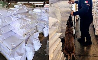 Aseguran 27 mil kilos de ácido tartárico originario de China en aduana de Michoacán; es un precursor químico de metanfetamina