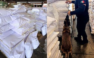 Aseguran 27 mil kilos de ácido tartárico originario de China en aduana de Michoacán; es un precursor químico de metanfetamina