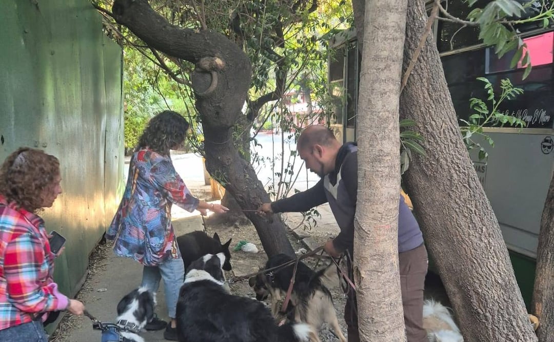 Denuncia por presunto maltrato animal en la BJ. Foto: Especial