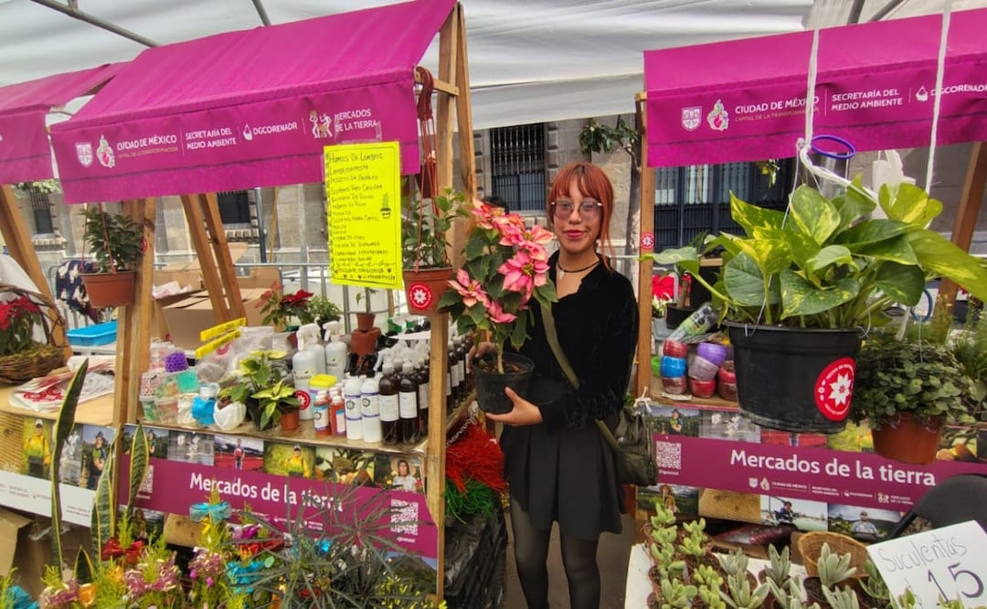 Testimonios navideños en el Zócalo; productores confían en el repunte de ventas. Foto: Arantxa Meave
