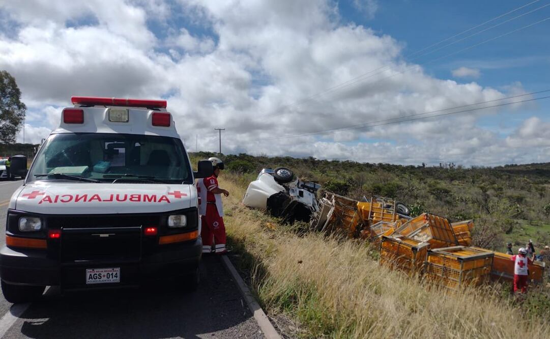 Volcadura de tráiler que transportan pollo en Aguascalientes. Foto: especial