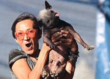 "Sr. Rostro Feliz" es el nuevo perro más feo del mundo