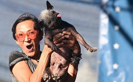 "Sr. Rostro Feliz" es el nuevo perro más feo del mundo