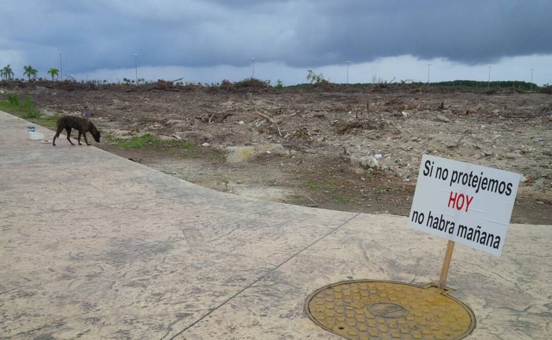 Foto: Adriana Varillas