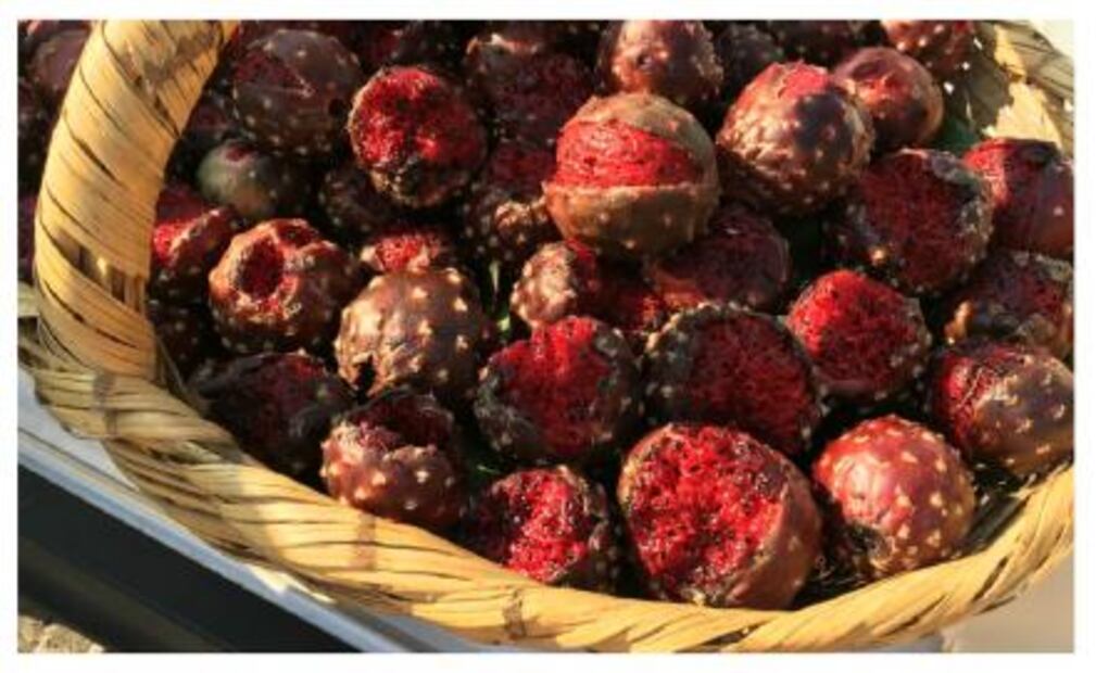 Los antojitos del sur de Jalisco