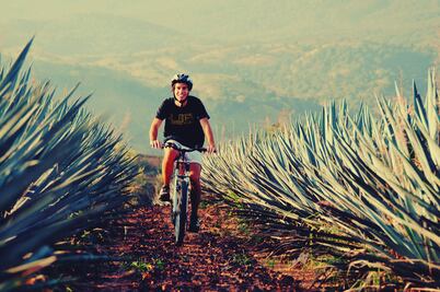 Cuándo y cómo se celebrará el primer Día Nacional del Tequila