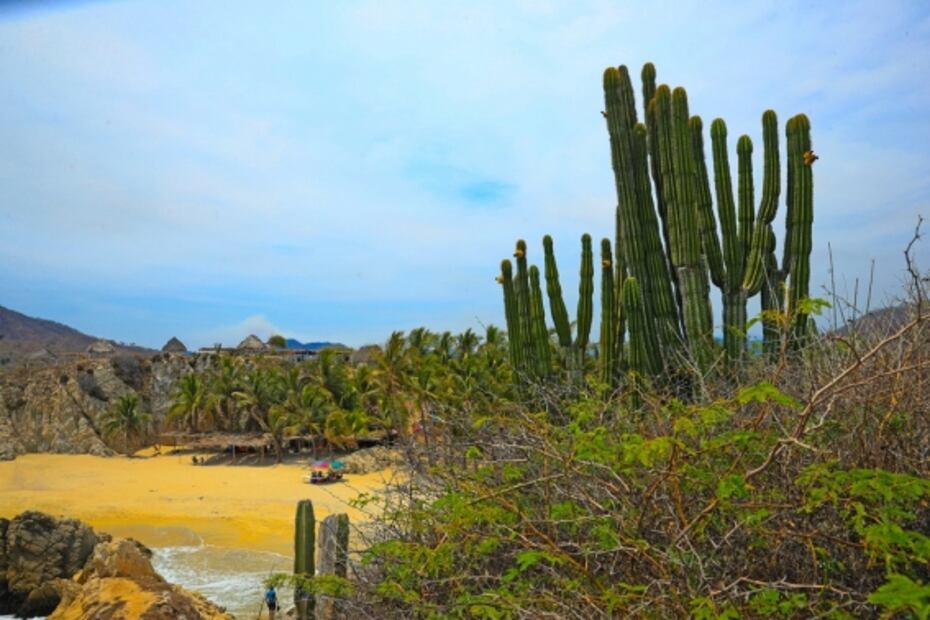 Estas son las 3 playas más contaminadas de México, según Cofepris