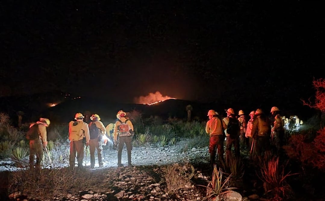 La superficie afectada por un incendio forestal que se registra en la localidad, Puerto de Dolores, municipio de Doctor Arroyo, en el sur de Nuevo León. Foto: Especial
