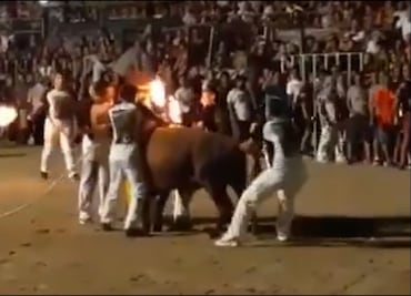 Salvajismo durante una corrida de toros