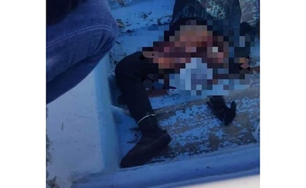 Muere buzo por ataque de tiburón en el Golfo de California; le arrancó una pierna