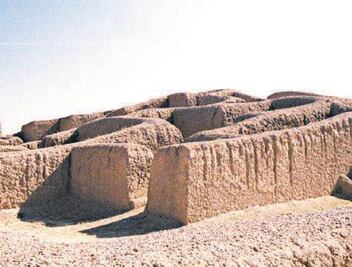 Sin claridad, alcances de “Protección especial”