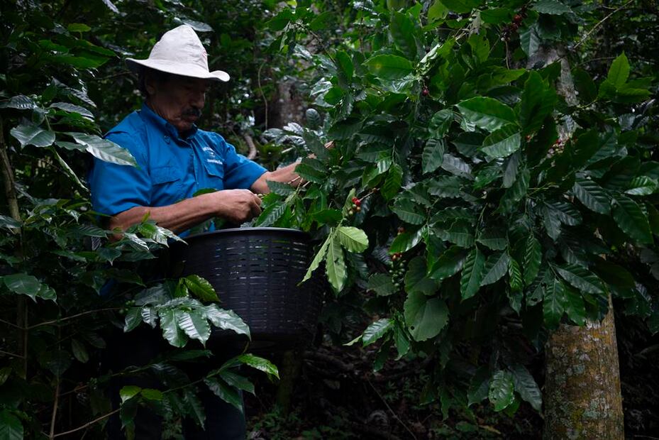 Foto: Eduardo Peraza