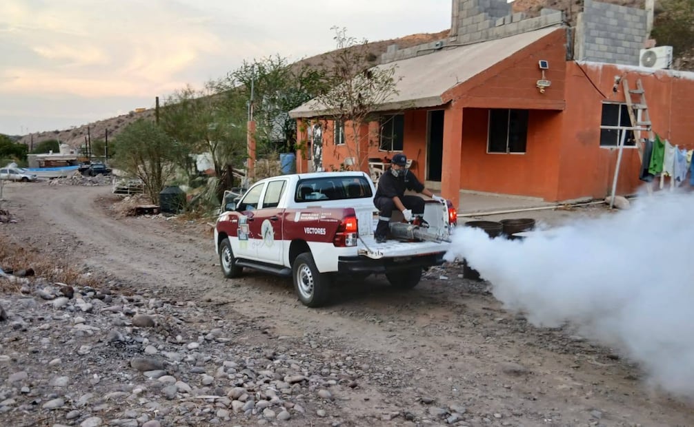 Baja California Sur suma 186 casos de dengue; Los Cabos concentra 74 contagios.
Foto: Especial.