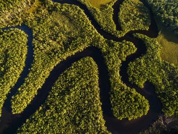 11 cosas que debes saber de la selva amazónica