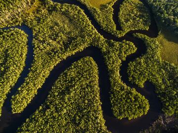 11 cosas que debes saber de la selva amazónica