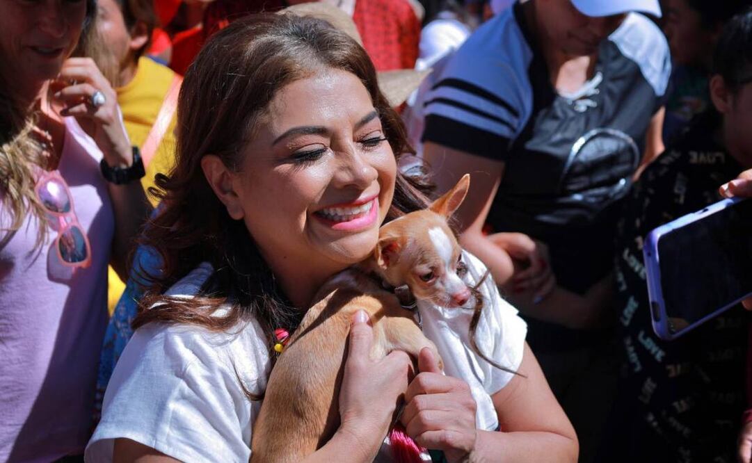 Clara Brugada impulsará campañas de esterilización masiva y sostenida para perros y gatos domésticos, aunque también para todos los animales en situación de calle de la capital. Foto: Especial