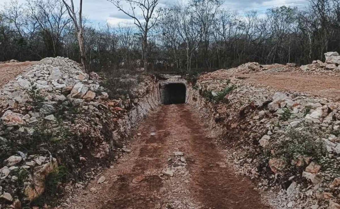 Profepa clausura proyecto turístico en Abalá, Yucatán; detectan afectaciones directas en más de 10 mil metros cuadrados de selva y cenote.
Foto: Especial.