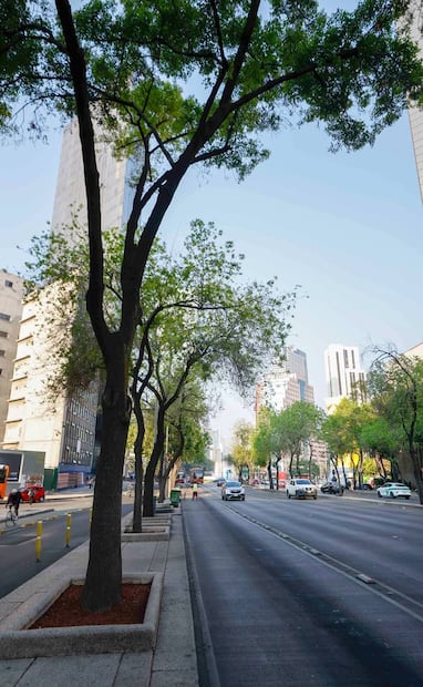 Aunque la remodelación sí se refleja en la actividad económica, también impacta en la población trabajadora de la zona, que hoy ya suele saturar el servicio del Metrobús. Foto: Diego Simón/EL UNIVERSAL.