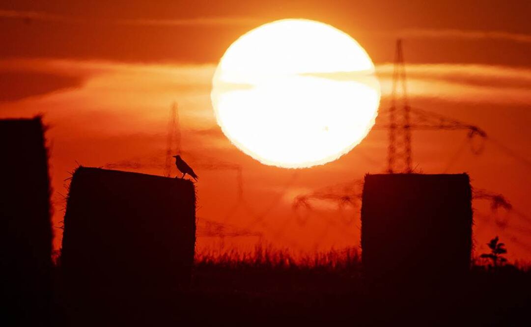  (AP Photo/Michael Probst, FILE)