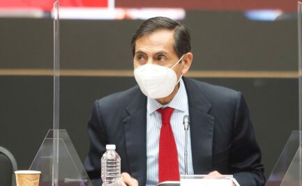 Ramírez de la O participa en plenaria de Morena en el Senado