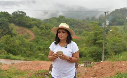 Beatriz Mojica pide licencia al Senado; buscará la candidatura de Morena al gobierno de Guerrero