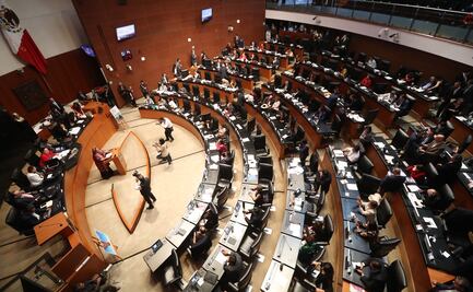 Senado recibe renuncia de las 4 consejeras de la CNDH