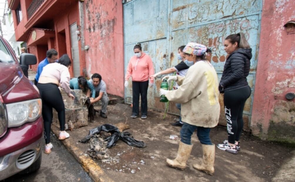 Rescatan a anciano y 47 animales en Córdova; vivían en condiciones insalubres