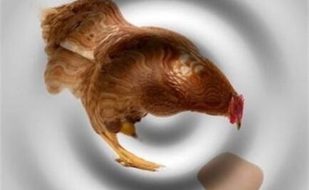 La física cuántica responde qué fue primero el huevo o la gallina