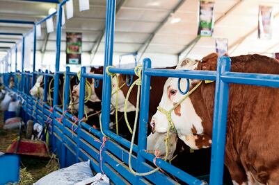 Avalan que ganaderas tengan voz y voto en juntas