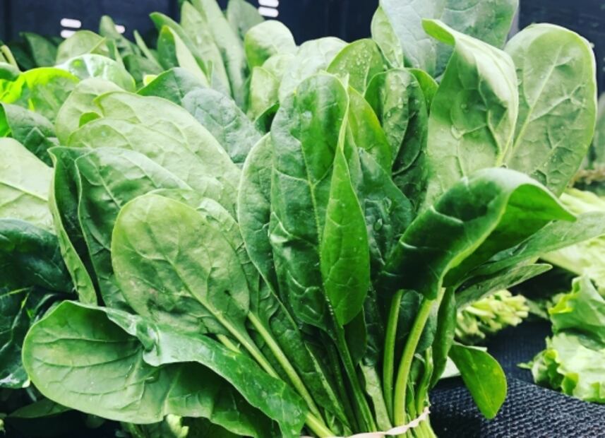 Huertos urbanos: hortalizas que puedes cosechar en casa