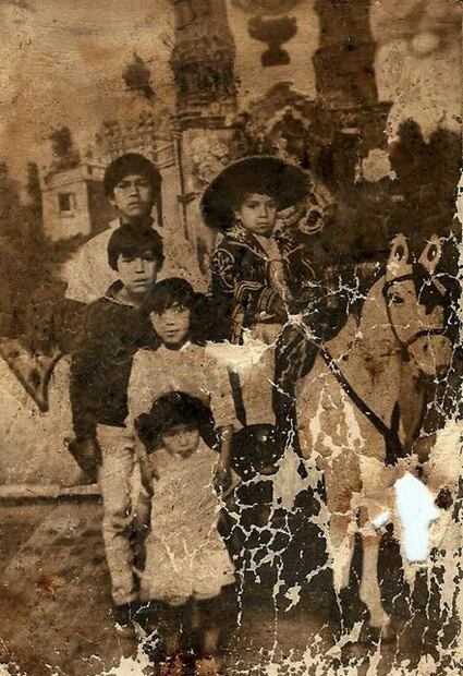 Llevan 50 años de fotografiar a los mismos caballos