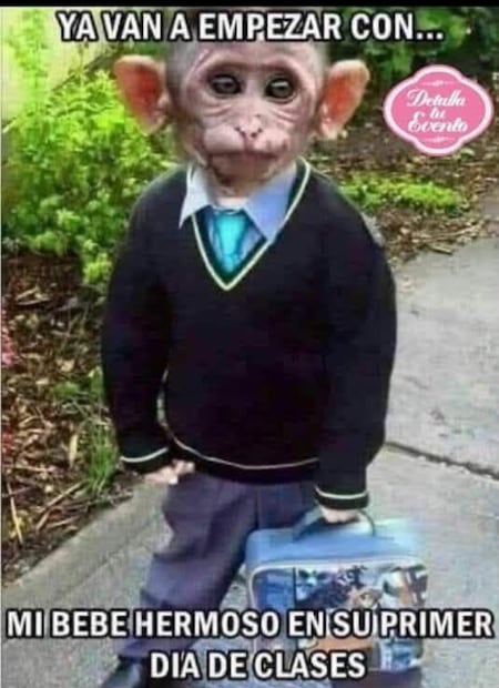 Los mejores memes que dejó el inicio del ciclo escolar 2026-2027. Foto: Redes sociales