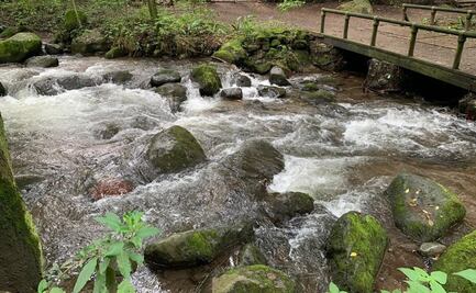 Anuncian mantenimiento de Río Magdalena en Magdalena Contreras y Álvaro Obregón
