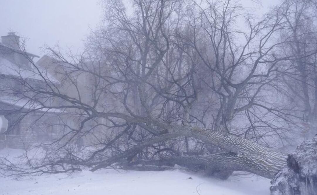 La víctima intentaba viajar de Luisiana a Tennessee, pero no tenía medios para conseguir un boleto de autobús o forma de recibir dinero. Foto: AP