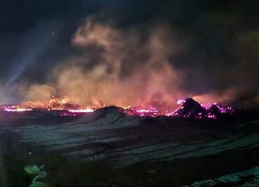 Combaten incendio en zona de manglares en Sisal, Yucatán; habitantes sospechan que el siniestro fue provocado