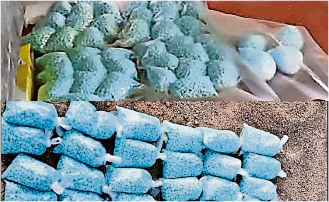 Estupefacientes como fentanilo y los precursores químicos para su elaboración deben destruirse bajo un estricto protocolo de incineración, señalan expertos. Fotos: Especiales