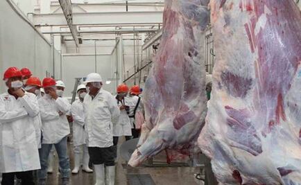 Mexico watches out for banned steroid clenbuterol in food