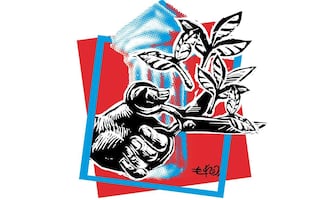 Al narco que AMLO dejó crecer seis años, lo detuvieron en 19 meses  