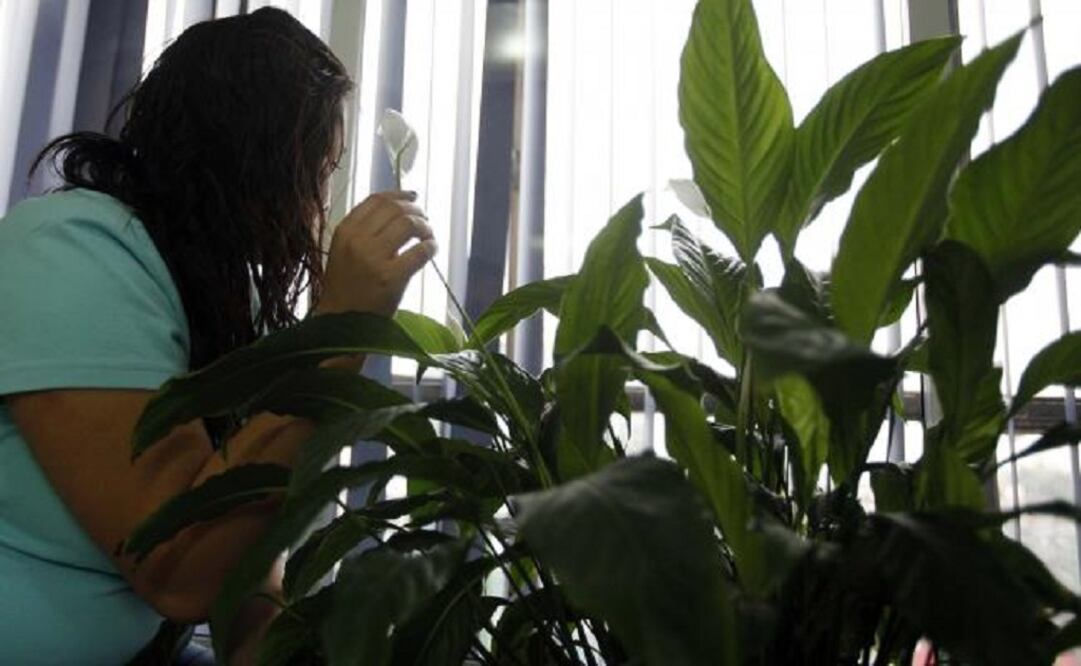 The study also revealed that four out of every 10 victims are less than 15 years old. (Photo: Archive/El Universal)