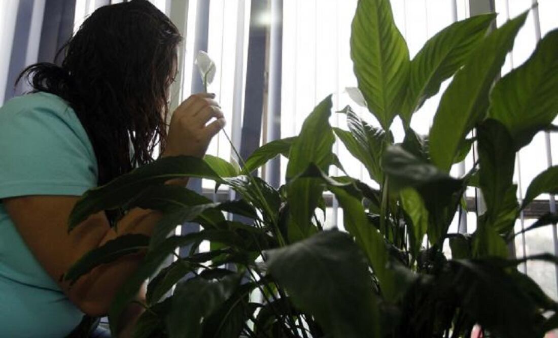 The study also revealed that four out of every 10 victims are less than 15 years old. (Photo: Archive/El Universal)