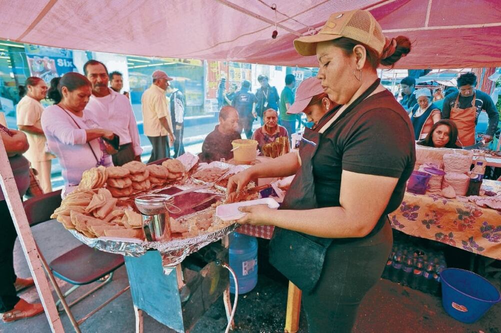 La investigadora del Instituto de Biología de la UNAM, Magda Carvajal Moreno, aseguró que el maíz también está contaminado por toxinas cancerígenas, así como sus derivados: sopes, quesadillas, totopos, tortillas y tamales (ARCHIVO EL UNIVERSAL)