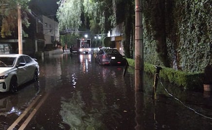 Lluvias dejan 47 árboles caídos y 17 encharcamientos en CDMX; zonas poniente y sur, las más afectadas