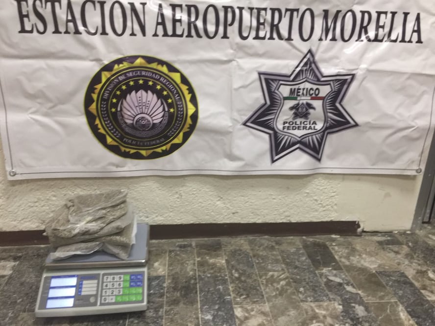 Decomisa PF semillas de marihuana en aeropuerto de Morelia